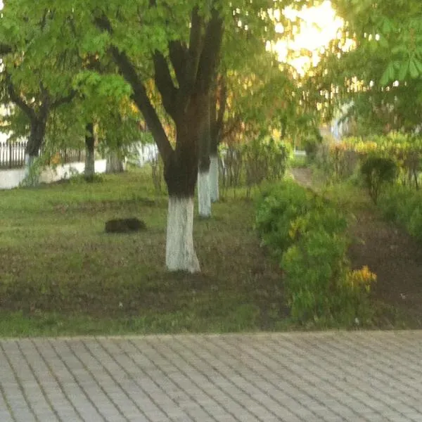 Piroshka Hotel, hotel in Berehove