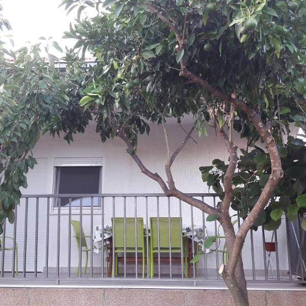 Apartment Branko