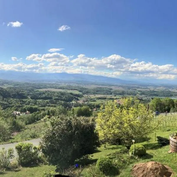 Panoramahotel Steirerland, khách sạn ở Kitzeck im Sausal