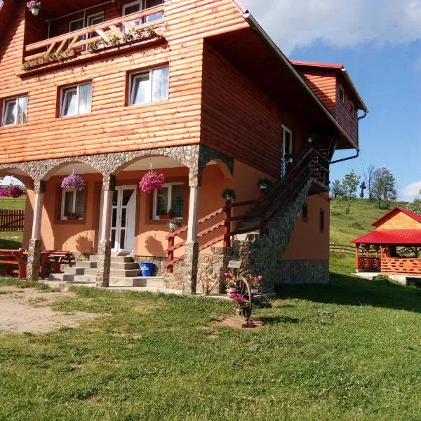 Cabana Ghetari, hotel in Gheţari