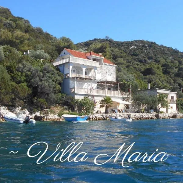 Villa Maria, hotel in Lastovo