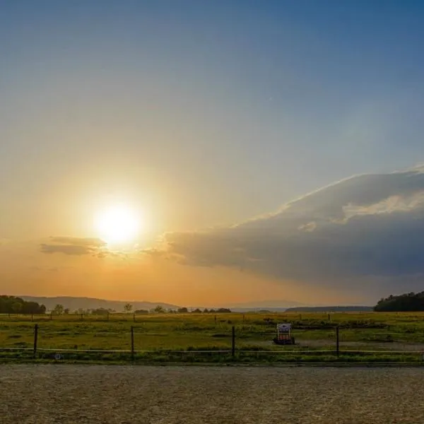Bio-Pferdehof Fabian，位于Ludwigshof的酒店