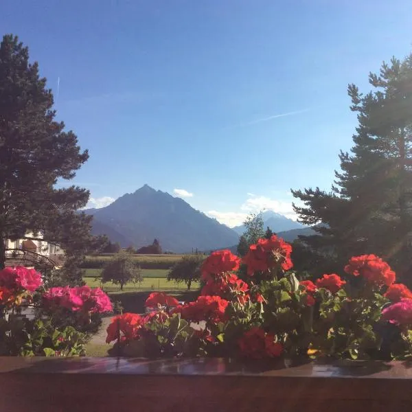 Haus Angelika - bed & breakfast - Innsbruck/Igls, Hotel in Innsbruck