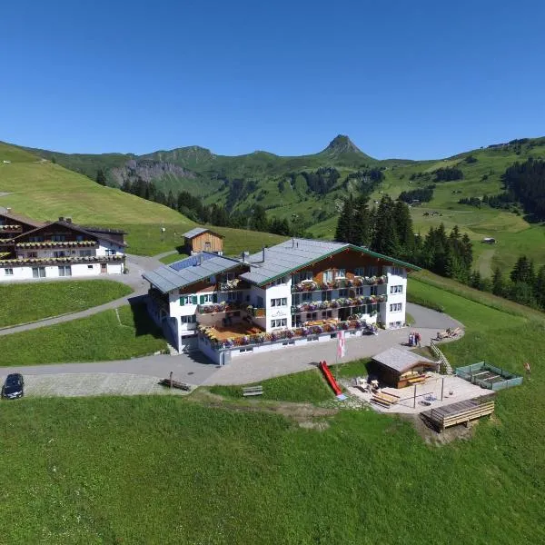 Hotel Hertehof, hotel in Damuls