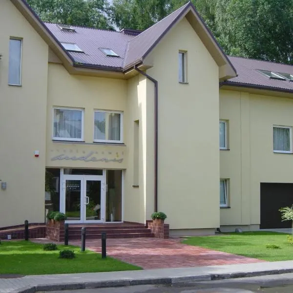 Hotel Audenis, hotel i Birštonas