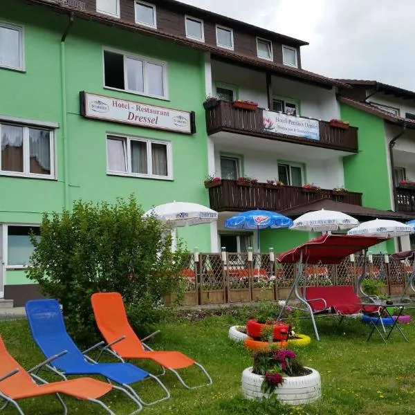 Hotel-Pension Dressel, ξενοδοχείο σε Warmensteinach