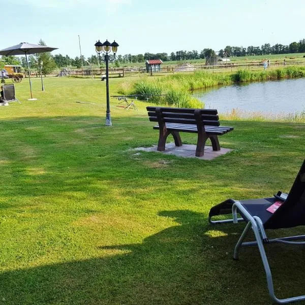 Pension am Birkensee, Hotel in Detern