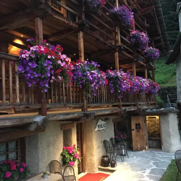 Wongade Chambres d'hotes e Restaurant: Gressoney-la-Trinité şehrinde bir otel
