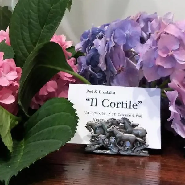 B&B il Cortile Malpensa, Hotel in Casorate Sempione