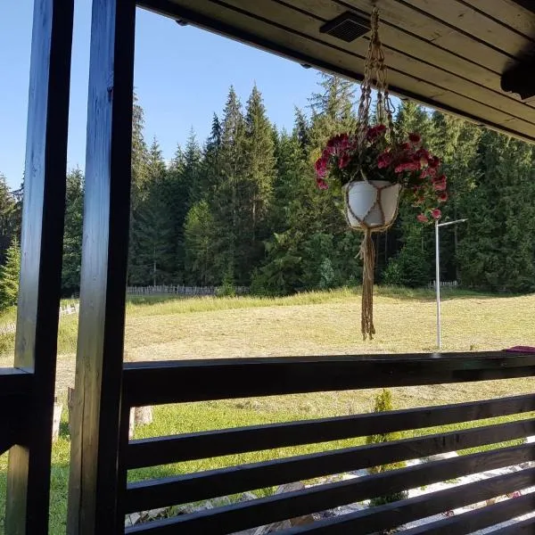 Pensiunea Maria-Bucovina、バトラ・モルドビツェイのホテル