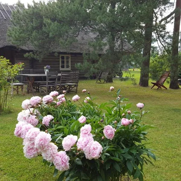 Männi Summerhouse, hotel in Kassari