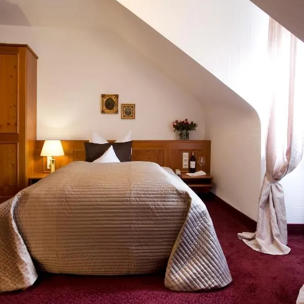 Hotel Traube, hotel v Stuttgartu