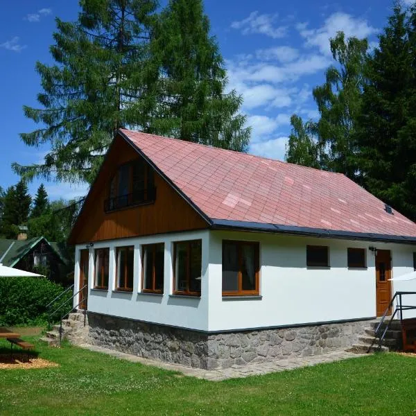 Chata Nela, hotel in Horní Planá