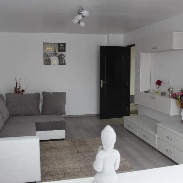 Apartament Anais, ξενοδοχείο σε Călimăneşti