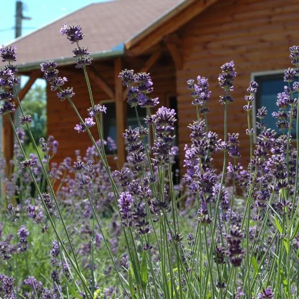 Faház, hotel in Tiszaszőlős