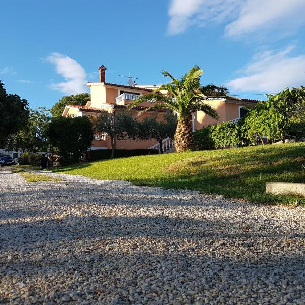 Apartman Andela