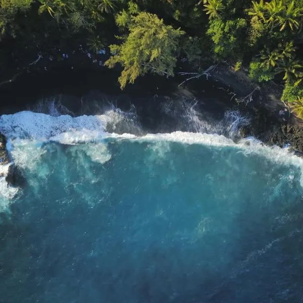 ザ ドルフィン コテージ アット ケヘナ ビーチ（The Dolphin Cottage at Kehena Beach）、Kehenaのホテル