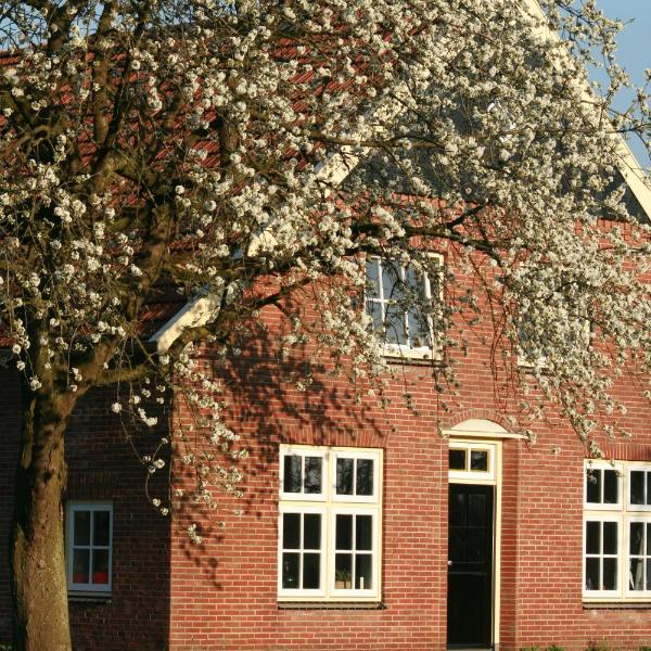 B&B Erve ten Dam