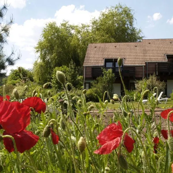 Alsace Village, hotel u gradu Obersteinbach