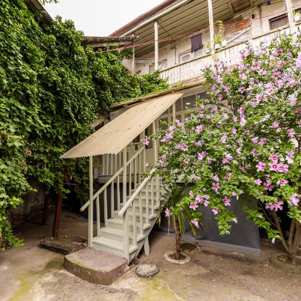 Apartment in Cozy Little Yard