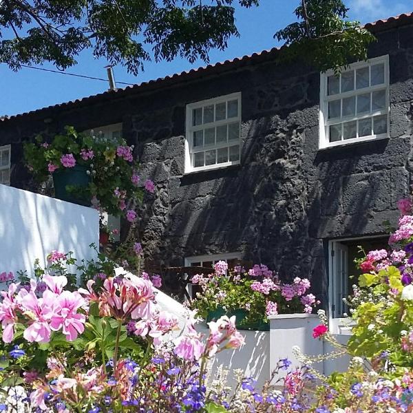 Casa do Zé - AL
