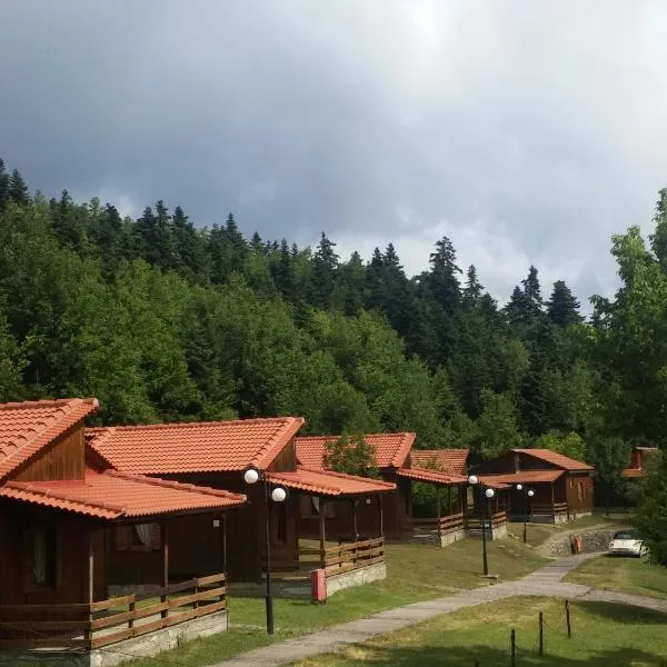 Livadaki Village - Δασικό Χωριό Λιβαδάκι, hotel in Karpenisi