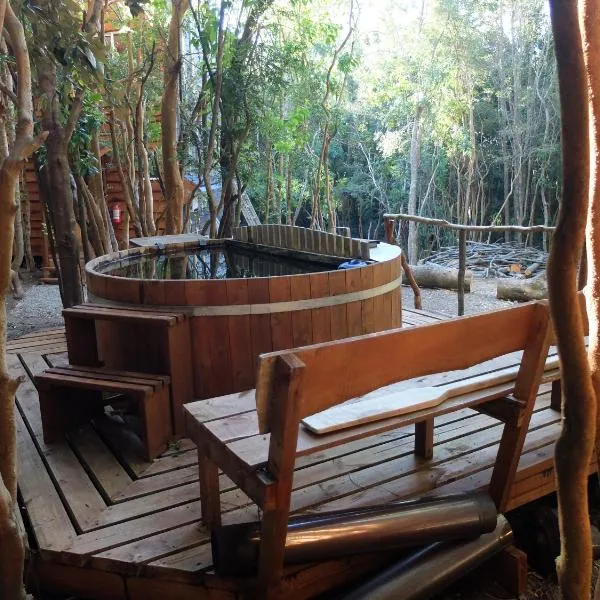 Cabañas Ensenada Bosque Nativo, hotell sihtkohas La Ensenada