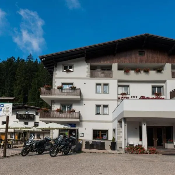 Hotel Paradiso, hotel in Sarnonico