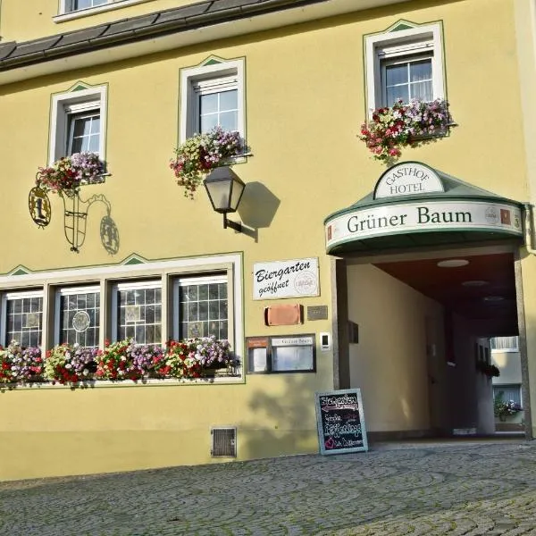 Hotel Grüner Baum, hotel in Naila