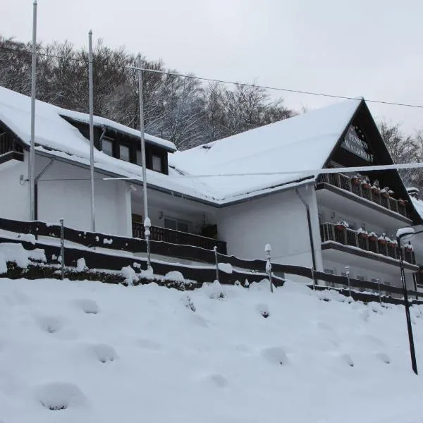 Pension Walddorf, hotel in Winterberg