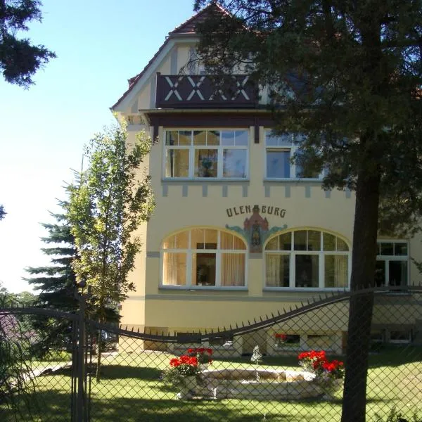 Hotel-Appartement-Villa Ulenburg, Hotel in Dresden