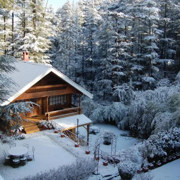 The Chalets Naldehra, hotel in Shimla
