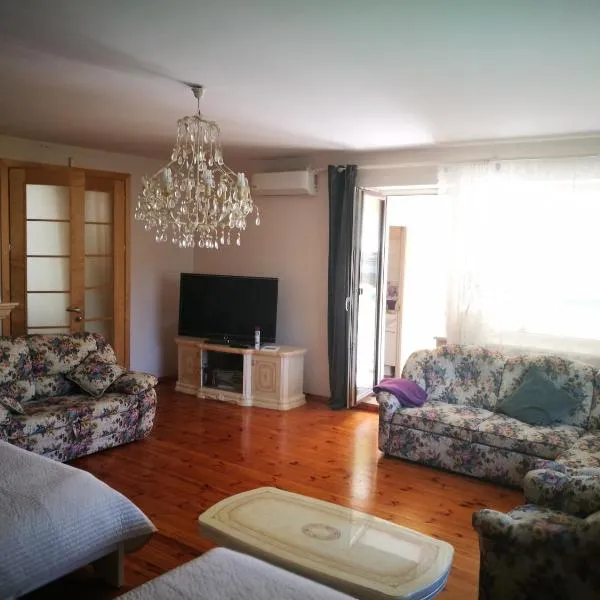 Irena Family House, hotel in Vilnius