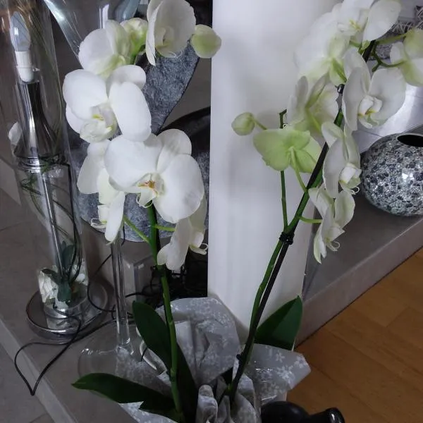 L'Orchidée, Hotel in Lassay