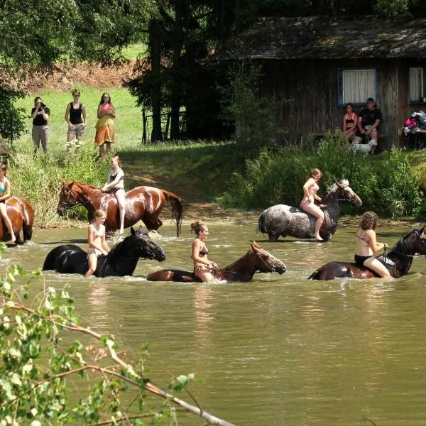赖特霍夫斯图格勒讷瑞酒店,位于莱茵巴赫-姆克莱的酒店