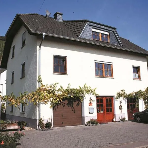 Ferienweingut Reh in Klüsserath, hotel in Klüsserath