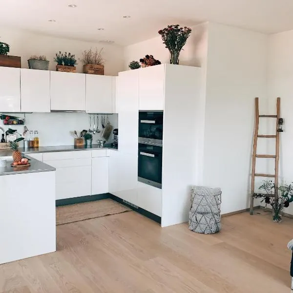 AVLiving City LOFT Basel, hotel din Basel