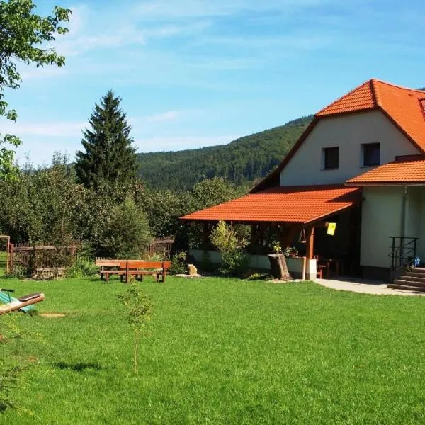 Pension U Blinků, hotel in Dolní Bečva