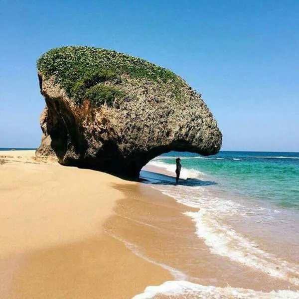 Walk to the Beach 2Min, Cozy, Boutique, Pool, Palmeras Del Mar Isabela, hôtel à Isabela