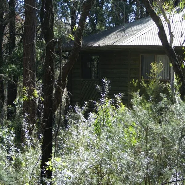 Twin Falls Bush Cottages, ξενοδοχείο σε Fitzroy Falls