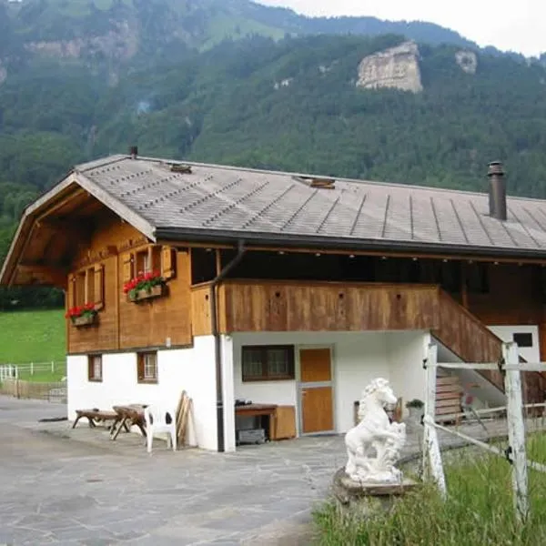 Eichhof Brienzwiler Berner Oberland, hotel in Brienzwiler
