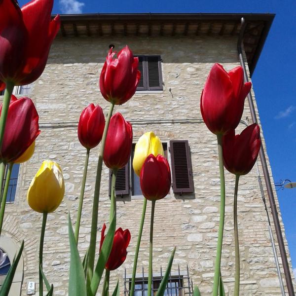 Casa Vacanze Nadia