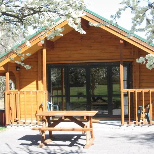 Central Chalets Ltd, hotel di Alexandra