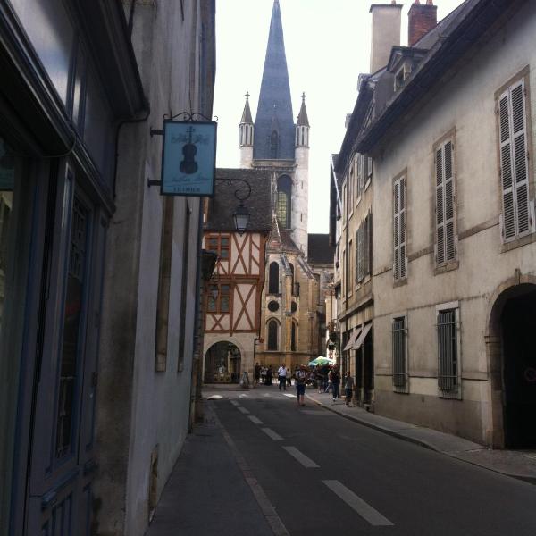 Le Nid De La Chouette