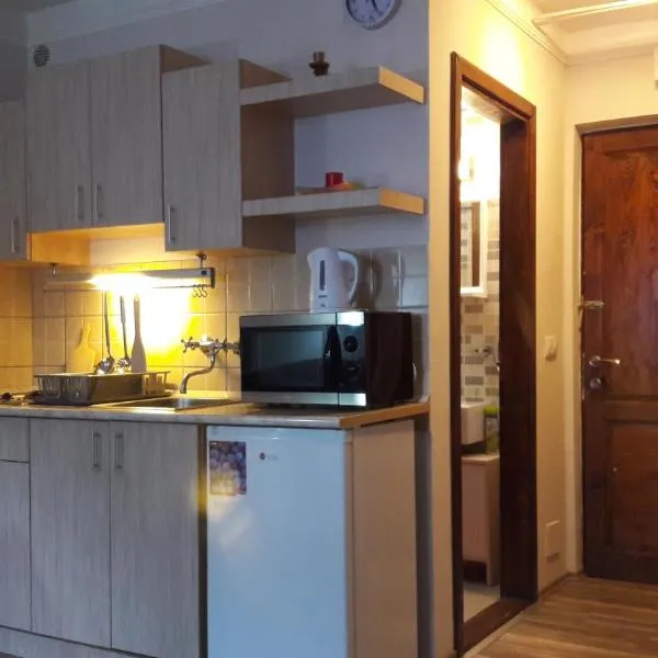 Apartment Sofi Yeti, ξενοδοχείο στο Κοπαόνικ