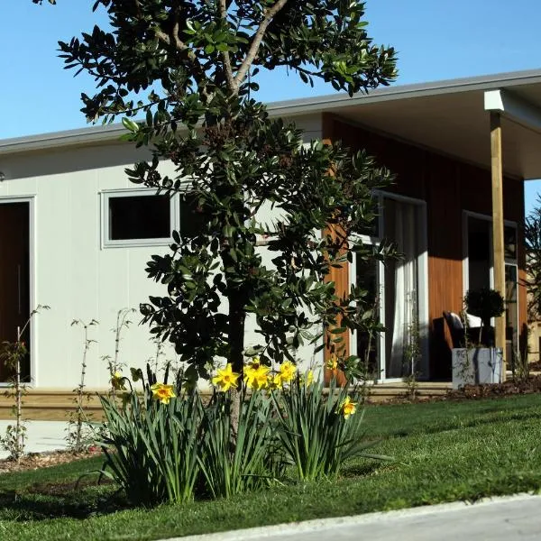 Aviator, hotel in New Plymouth