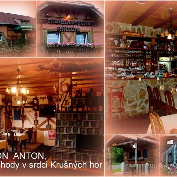 Restaurant Pension-Anton, ξενοδοχείο σε Jáchymov