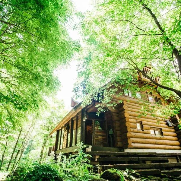 SUNNSNOW Loghouse, hotel in Otari
