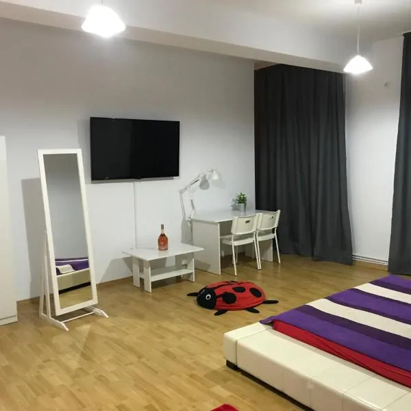 Central Park Studios, hotel v Bukurešti