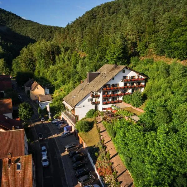 Hotel Die Kleine Blume, hotel v destinaci Erfweiler